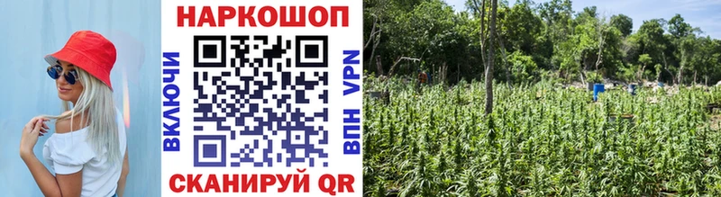 Купить Alpha PVP Мефедрон Кокаин ГАШ Бошки Шишки Кодинск
