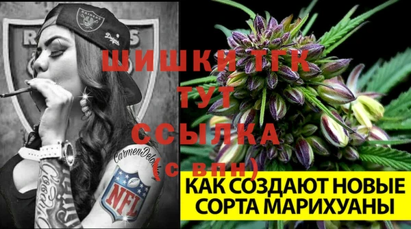 ешки Каменск-Шахтинский